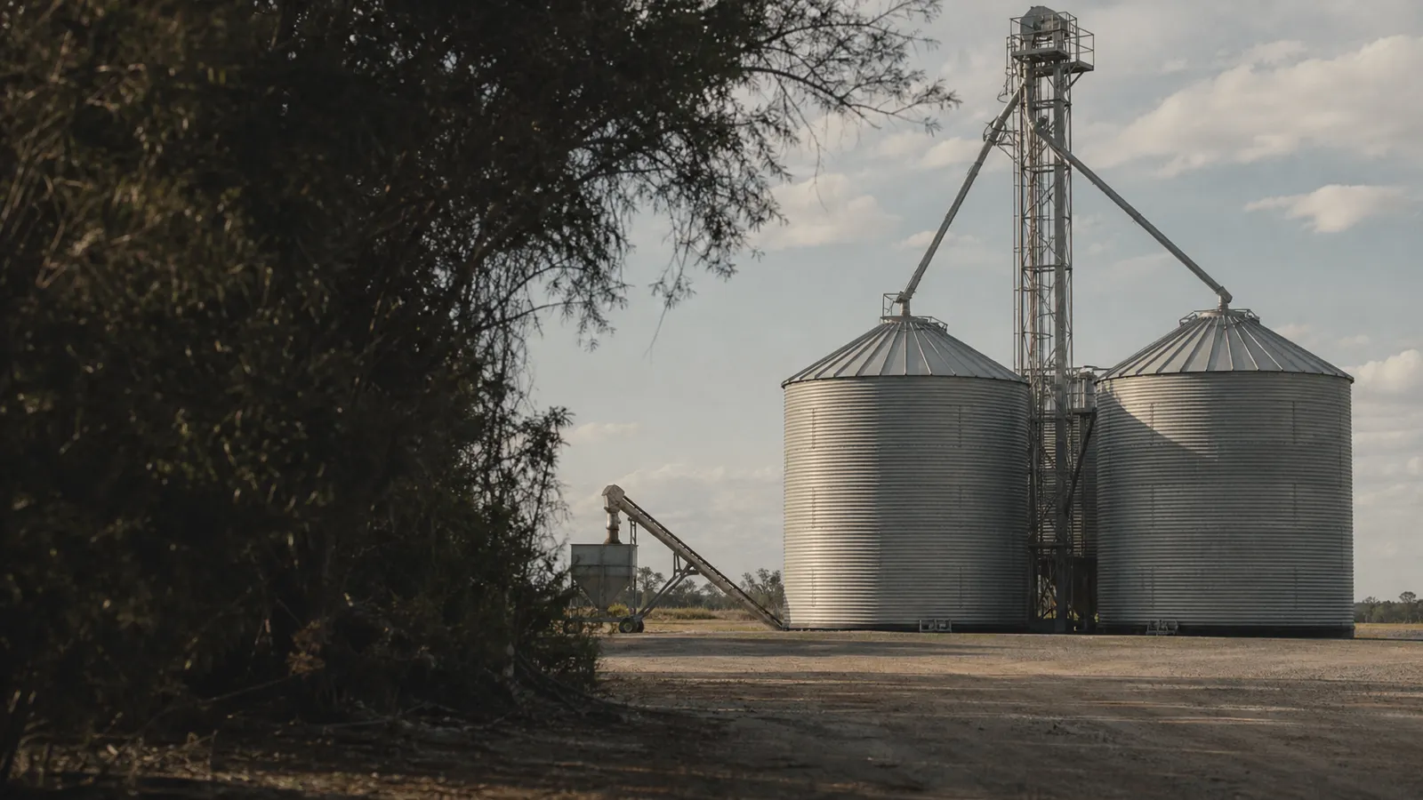 Grain silos and handling machinery, farm infrastructure design behind agricultural engineer insurance