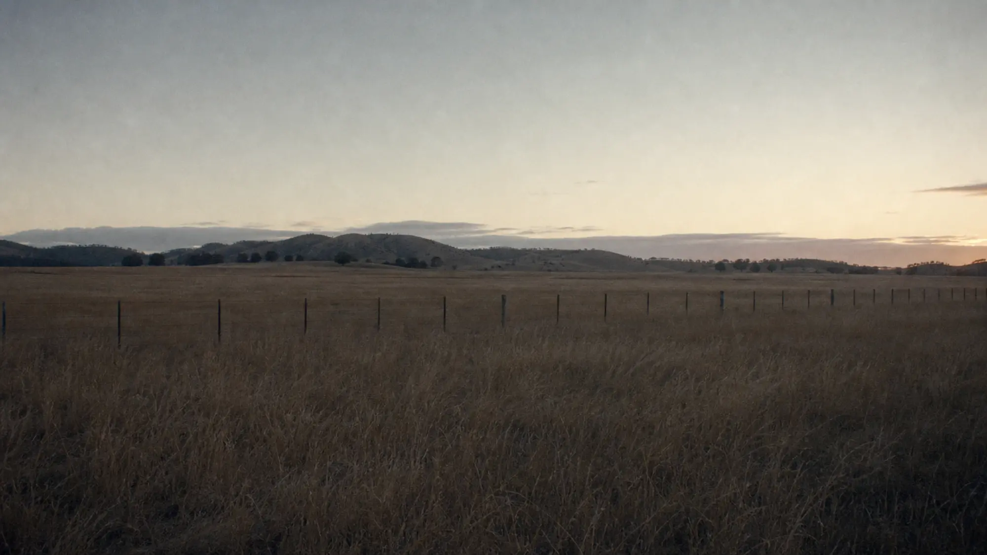Fence line across a sown paddock at dusk, agronomist professional indemnity insurance quote