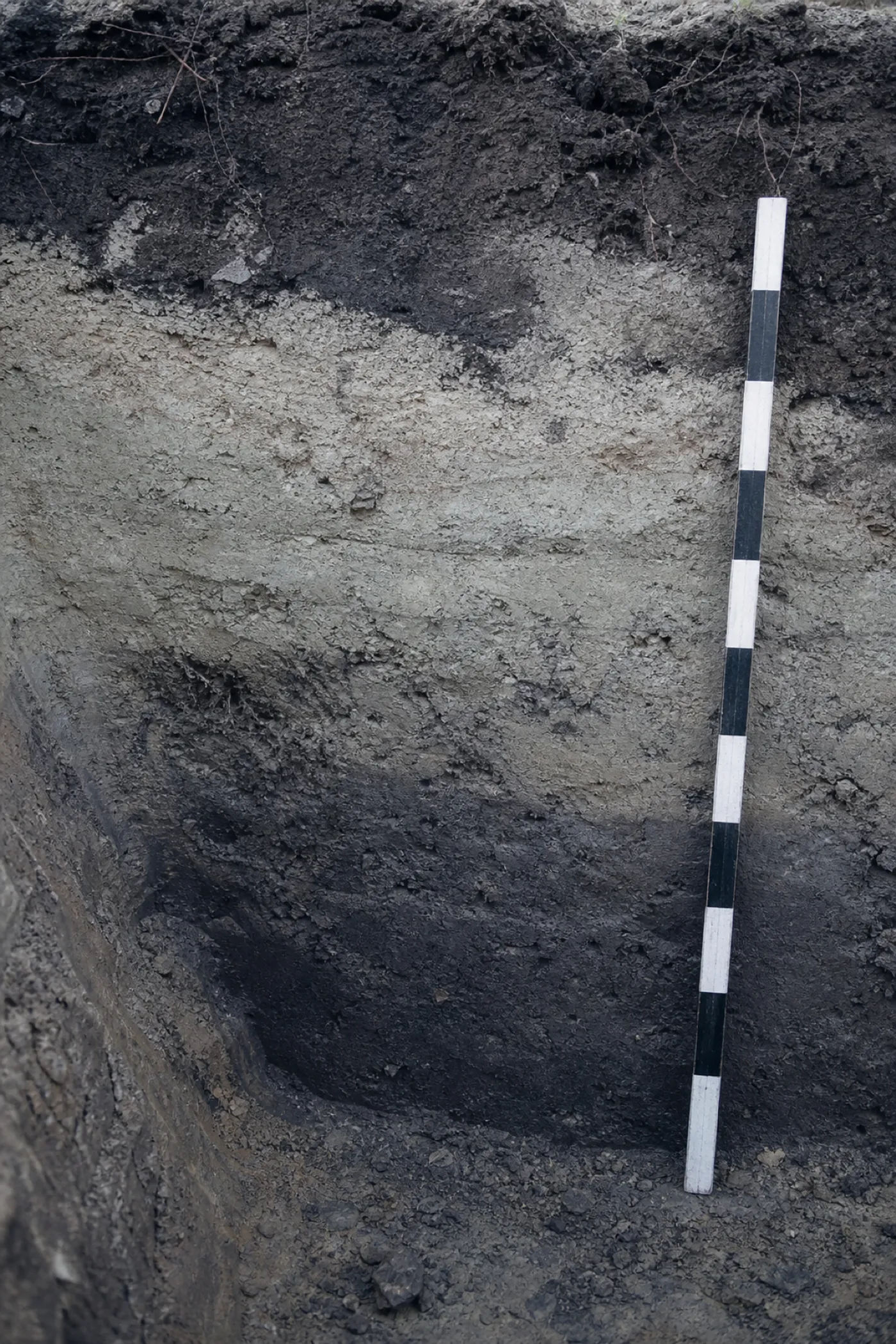 Soil stratigraphy layers in a trench wall, professional indemnity cover for archaeologists