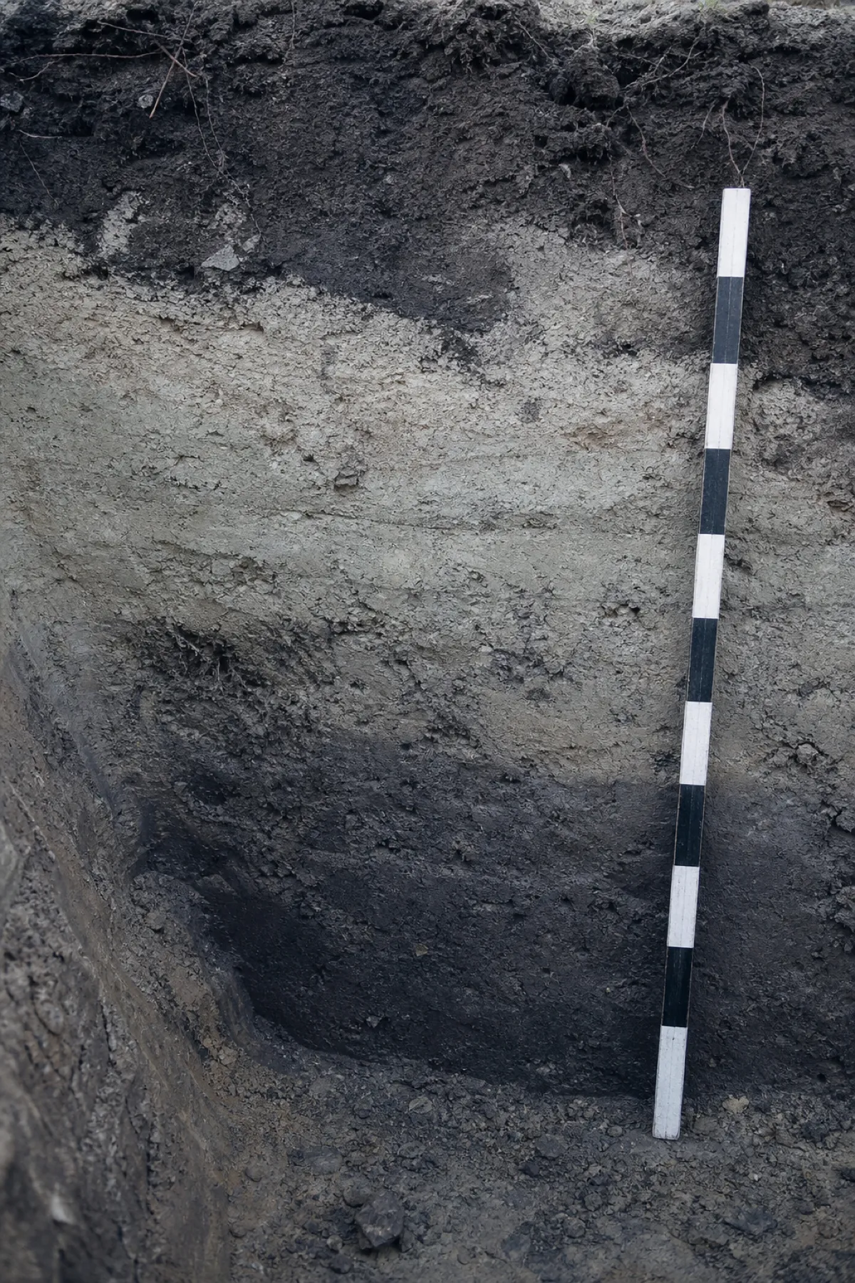 Soil stratigraphy layers in a trench wall, professional indemnity cover for archaeologists