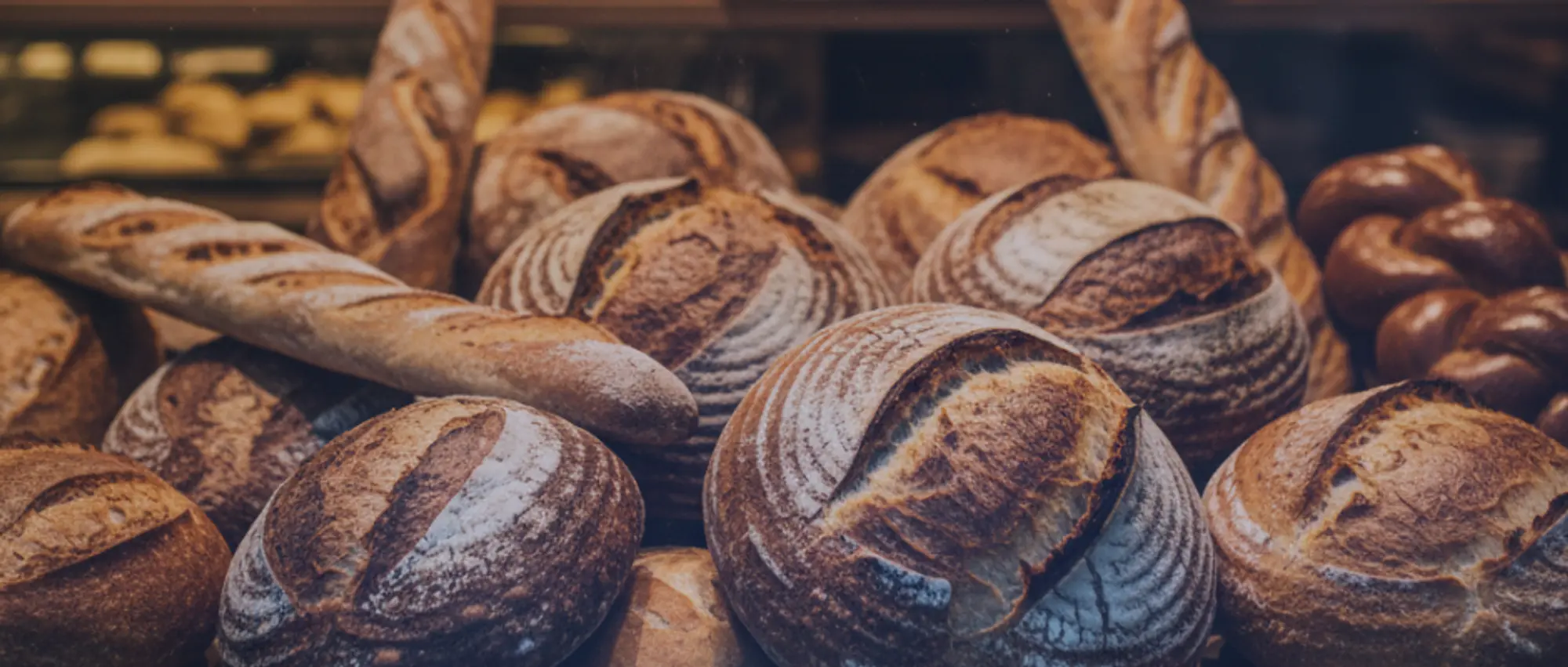 Close-up of freshly baked artisan sourdough loaves and baguettes, representing product liability insurance for commercial bakeries and bread makers.