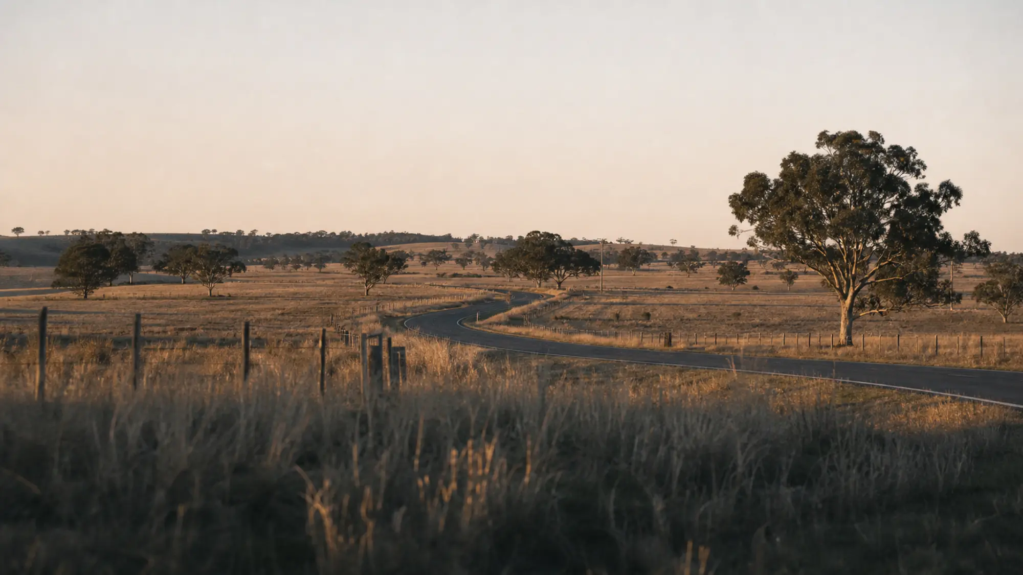 Country road through Central West farmland, business insurance quotes in Bathurst