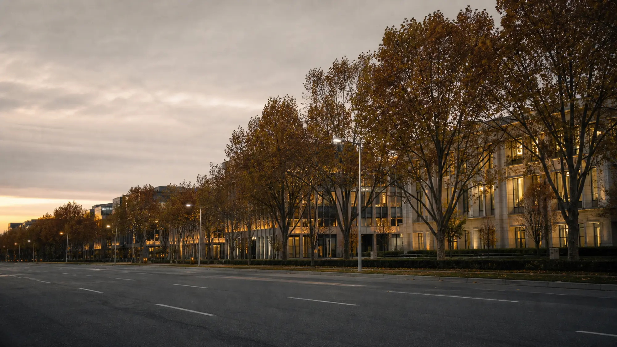 Tree-lined avenue at dusk, business insurance quotes in Canberra