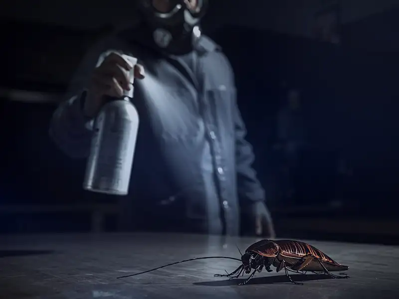 Pest control technician in protective suit spraying cockroach with chemical treatment demonstrating public liability risk