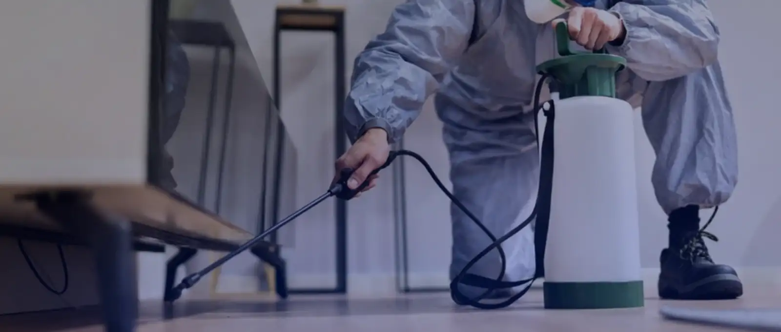 Pest management technician spraying treatment in residential hallway demonstrating professional service delivery