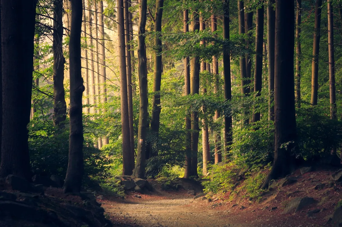 Environmental site representing professional indemnity coverage