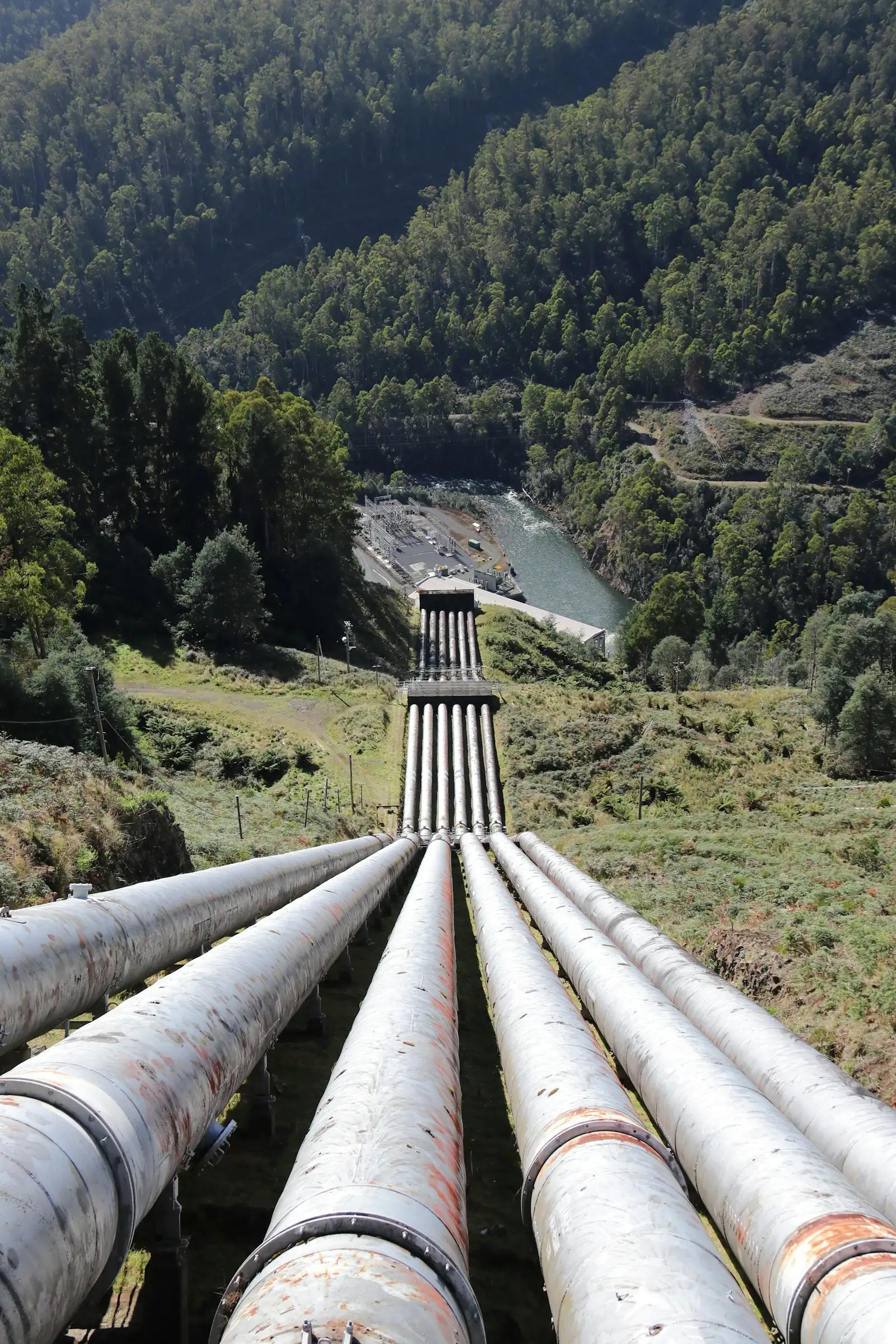 Hydroelectric penstock pipelines running down a forested hillside representing water engineering infrastructure