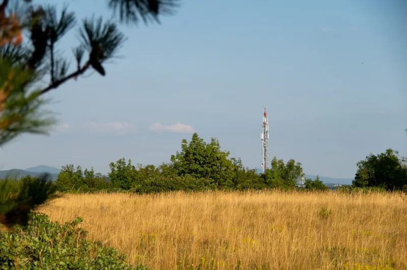 Telecommunications tower on a hillside representing professional liability