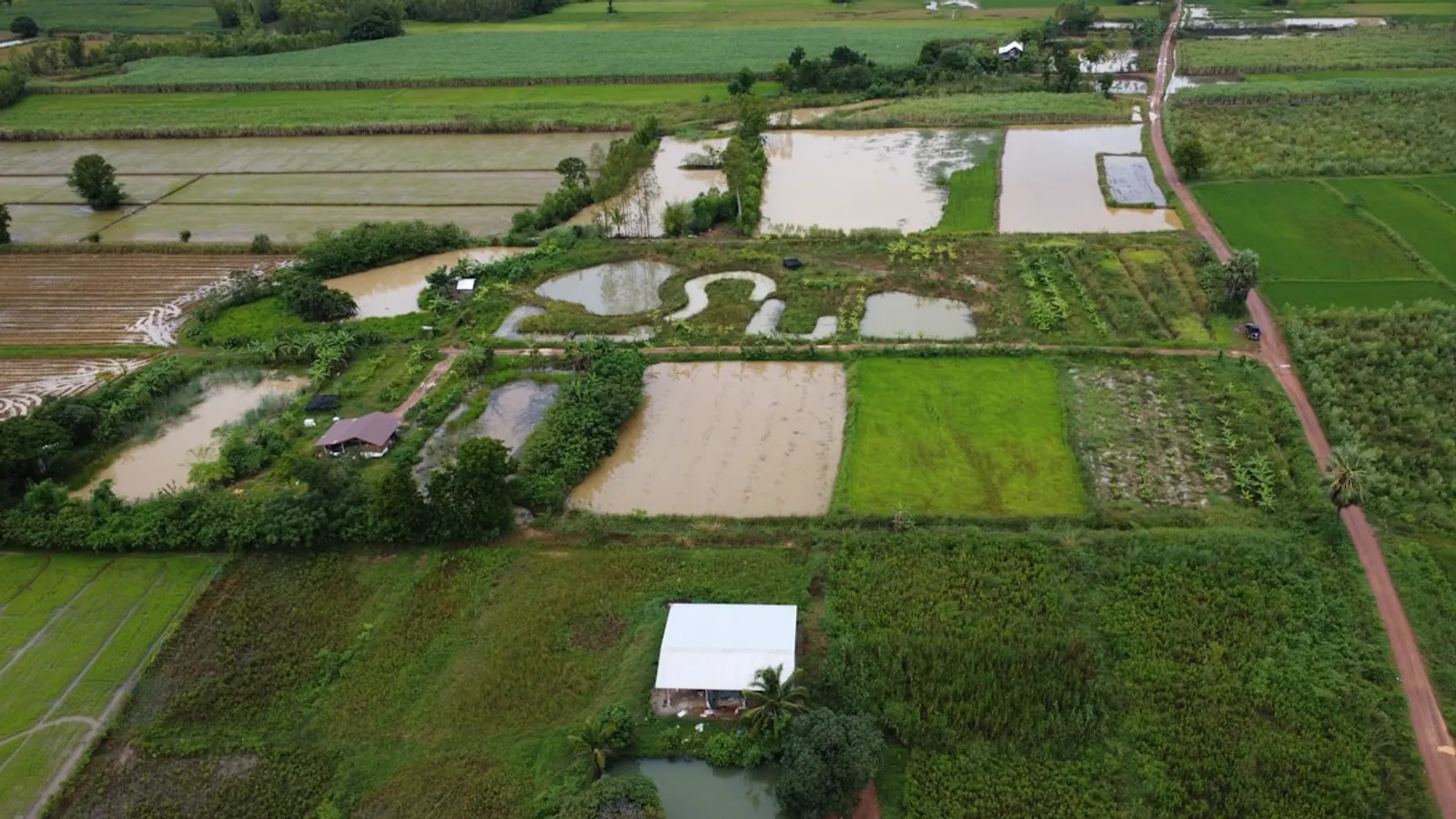 Aerial view of irrigated agricultural fields representing farm water management engineering