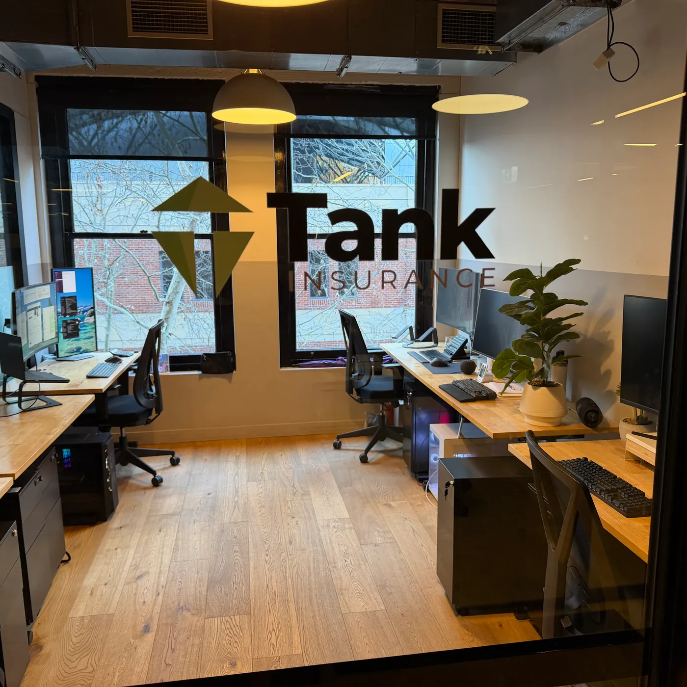 Tank Insurance office with logo on glass, Level 3, 100 Harris Street Pyrmont, Sydney
