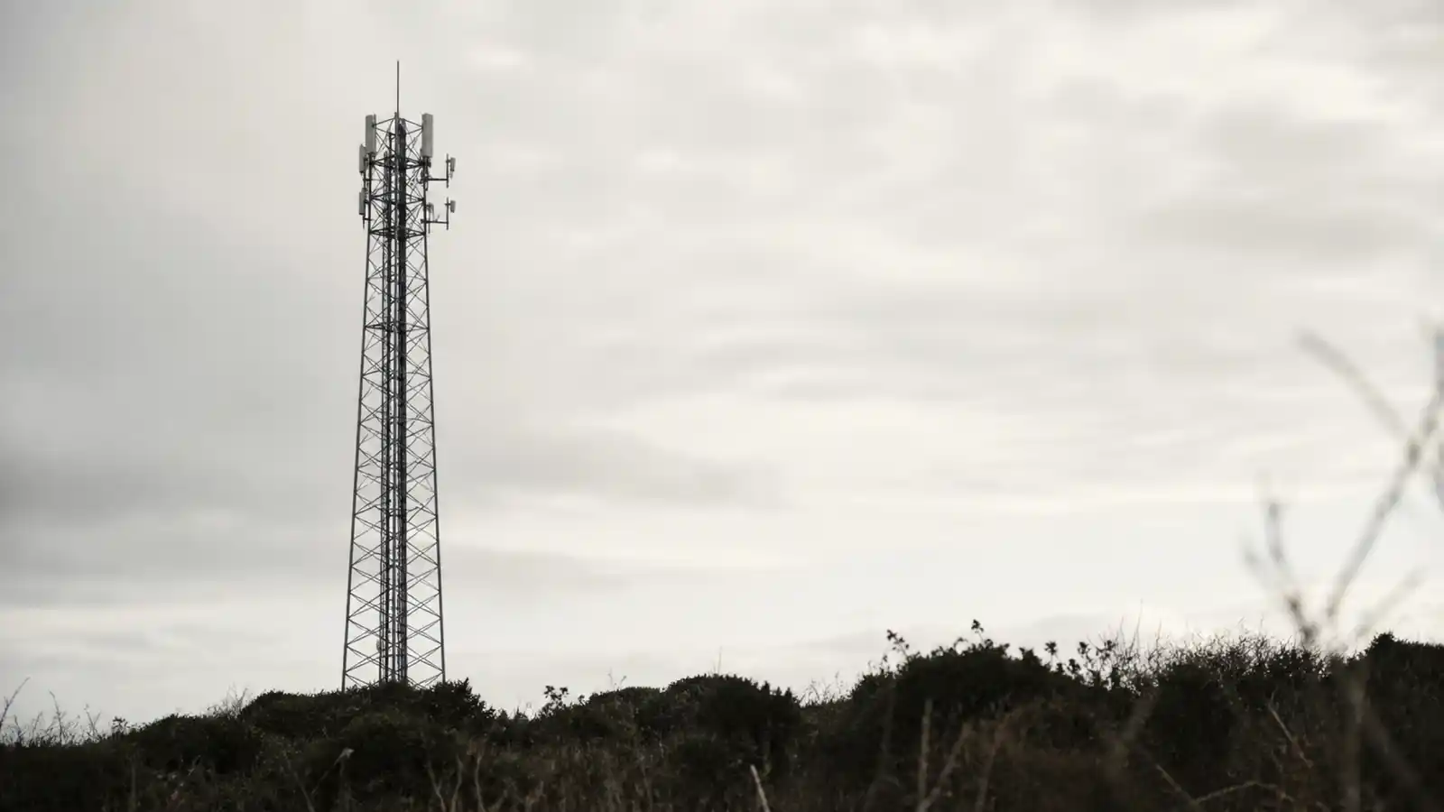 Lattice comms tower against open sky - telecommunications engineer PI insurance